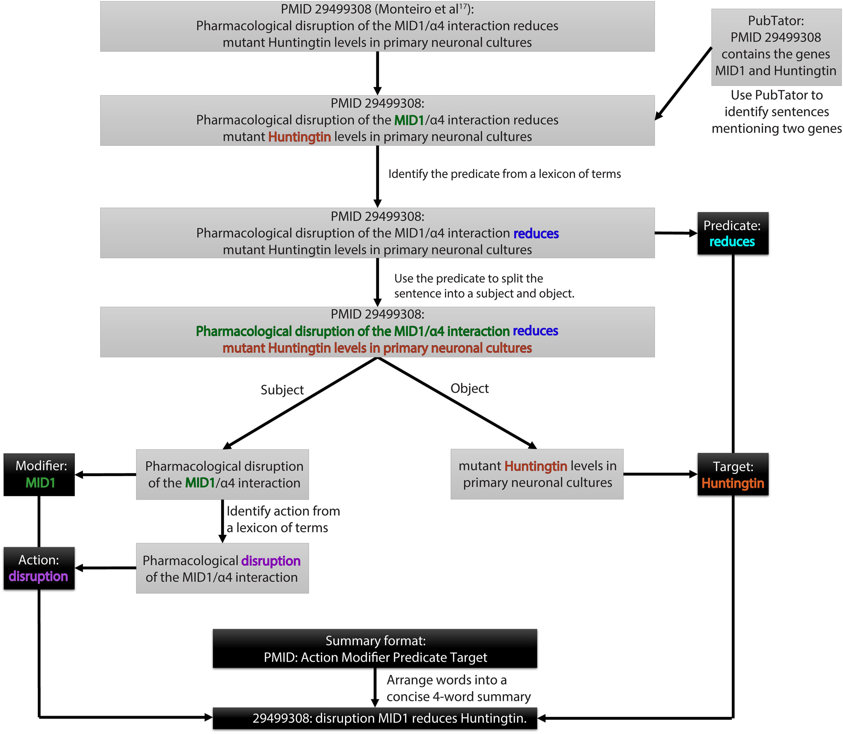 Parmesan: AI-based predictive tool finding new treatments for genetic disorders